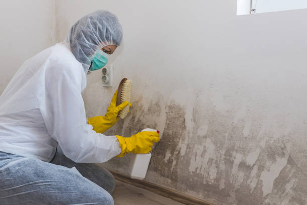 Best Water Damage Restoration  in Flanders, NJ