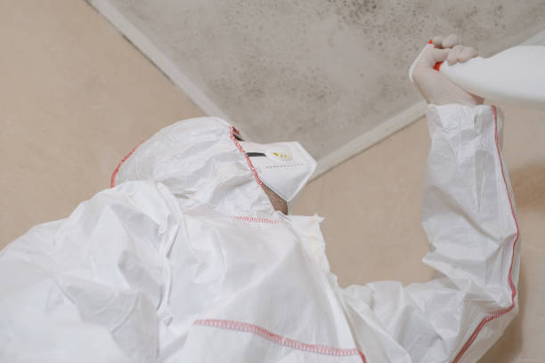 Best Residential Mold Removal  in Flanders, NJ