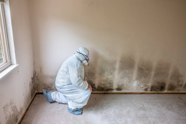 Best Commercial Mold Removal  in Flanders, NJ