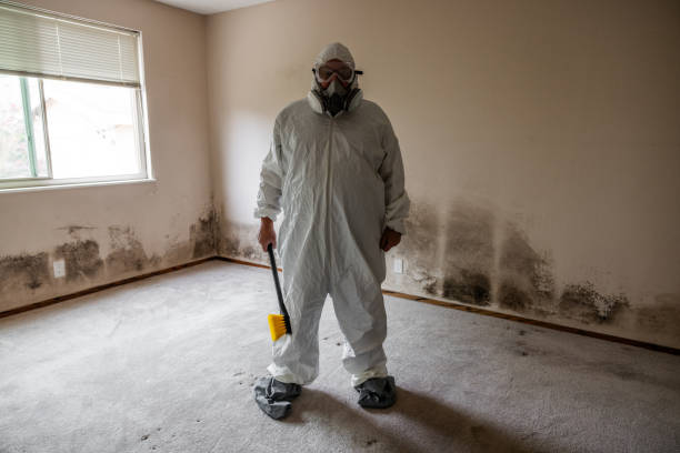 Best Professional Mold Removal  in Flanders, NJ