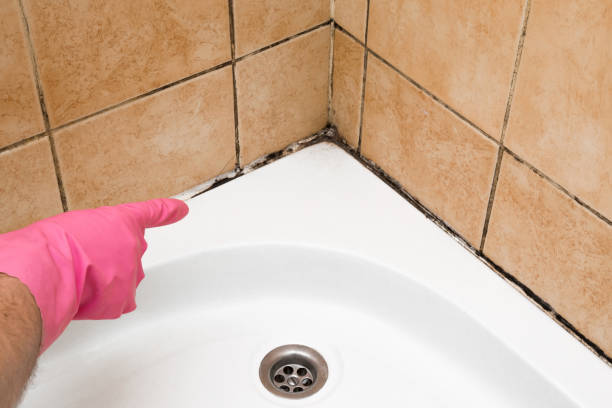 Best Mold Damage Repair  in Flanders, NJ